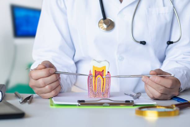 Best Emergency Orthodontic Repairs in Gambrills, MD
